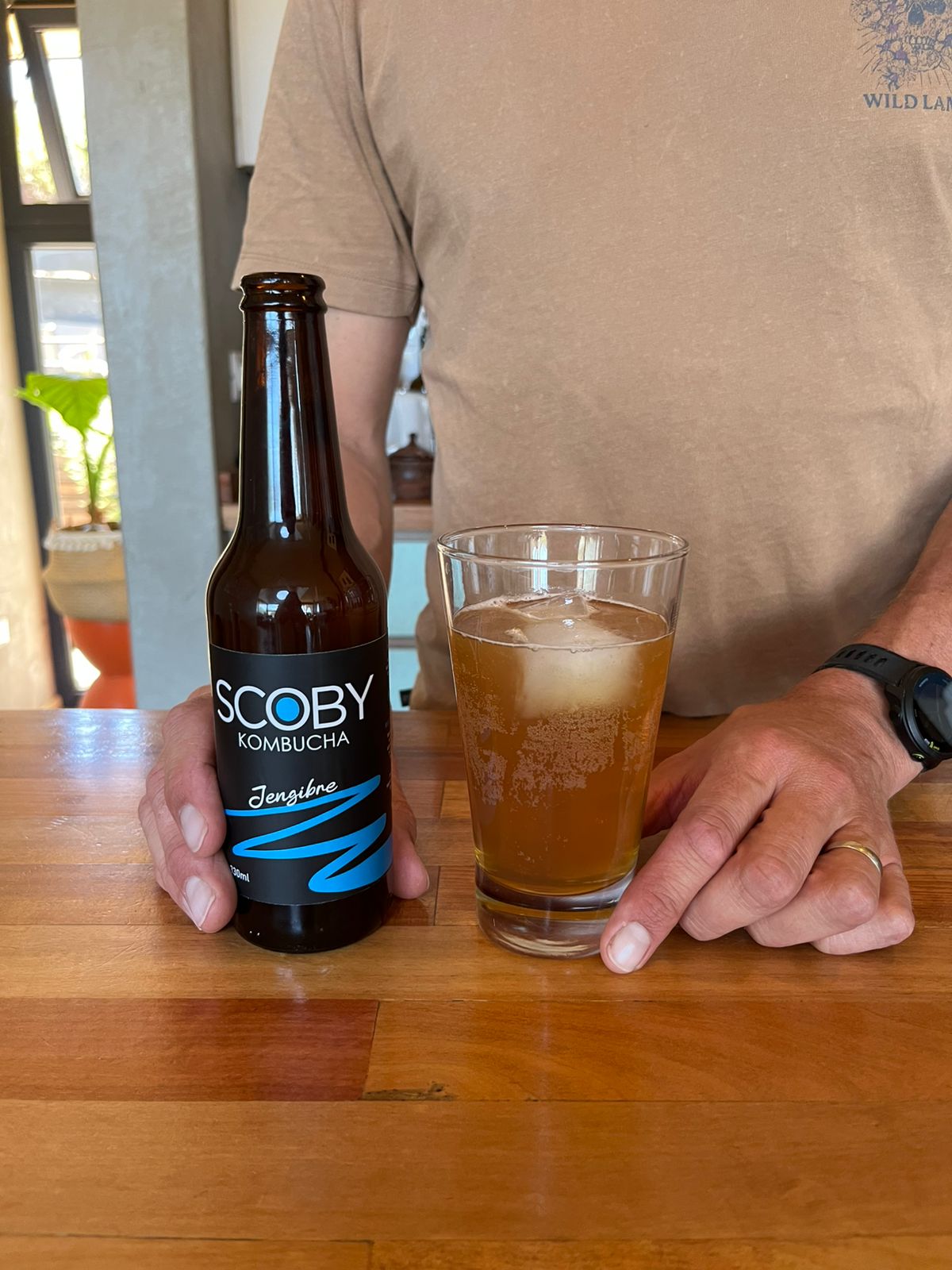 Scoby Kombucha - Jengibre 1